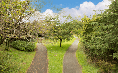Découvrir ce que vous voulez réellement dans votre vie